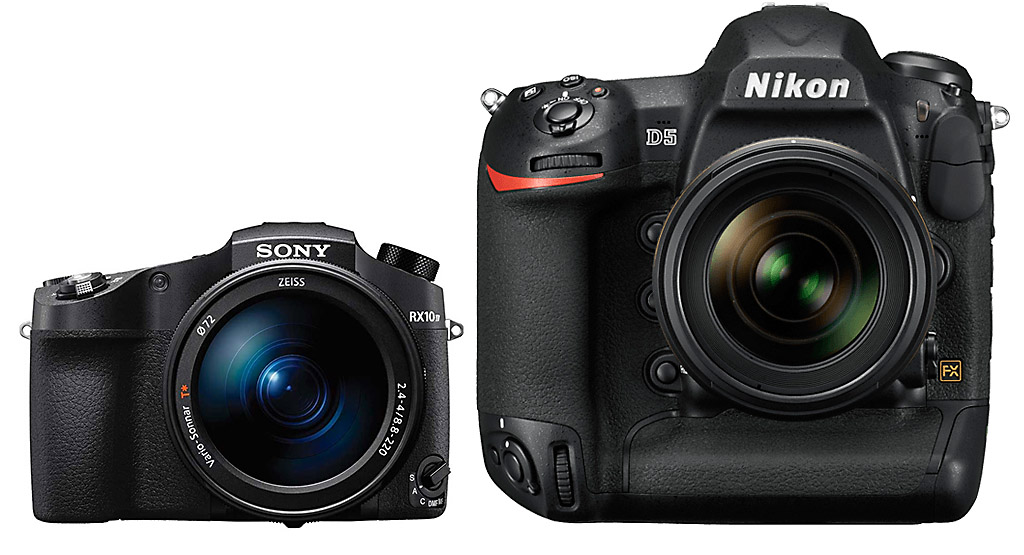 luontokuvaus valokuvaus luonto kamera objektiivi nikon lintu maisema